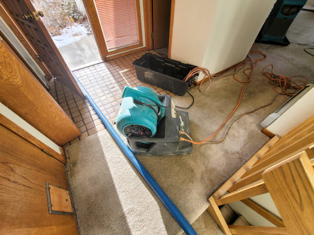 Best Water damage restoration services  in Crockett, TX