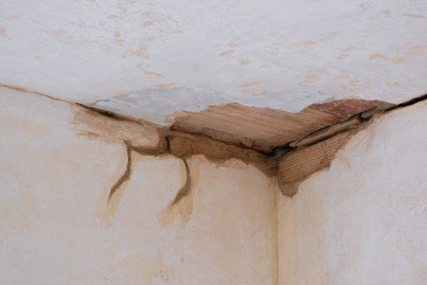 Best Residential water damage restoration  in Crockett, TX