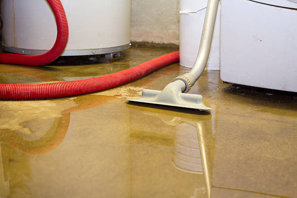 Best Water damage mitigation services  in Crockett, TX