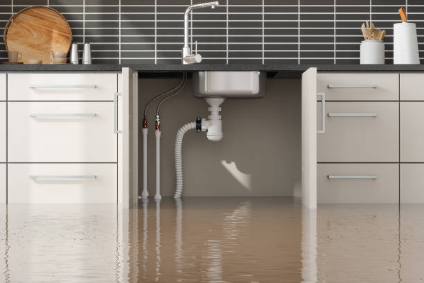 Best Sewage cleanup and water damage restoration  in Crockett, TX